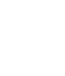 Shayan Logo Light